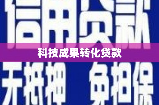 临澧科技成果转化贷款