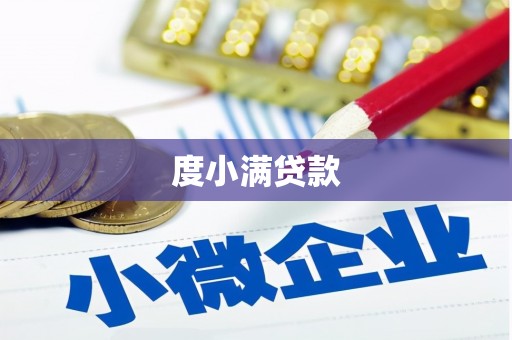 临澧度小满贷款