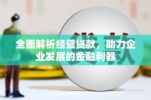 临澧全面解析经营贷款，助力企业发展的金融利器