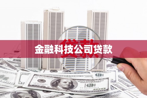 临澧金融科技公司贷款
