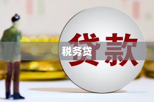 临澧税务贷