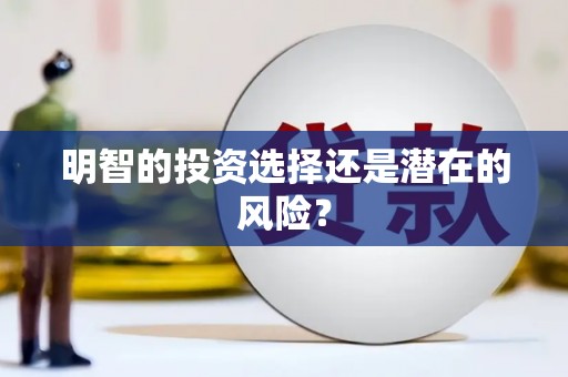 临澧明智的投资选择还是潜在的风险？