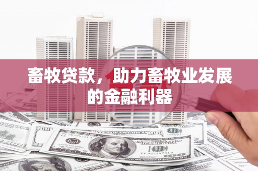 临澧畜牧贷款，助力畜牧业发展的金融利器