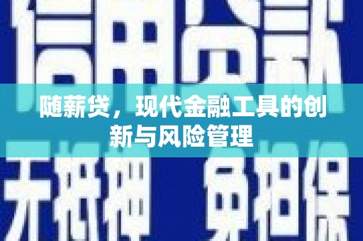 临澧随薪贷，现代金融工具的创新与风险管理