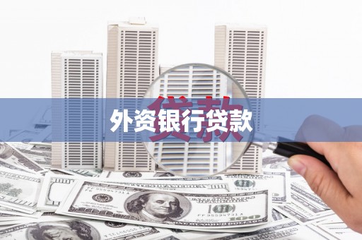临澧外资银行贷款