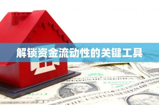临澧解锁资金流动性的关键工具