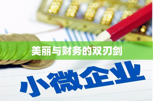 临澧美丽与财务的双刃剑