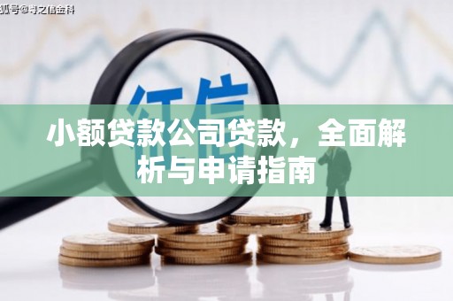 临澧小额贷款公司贷款，全面解析与申请指南