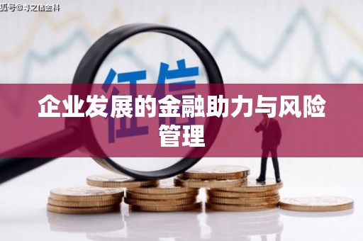 临澧企业发展的金融助力与风险管理