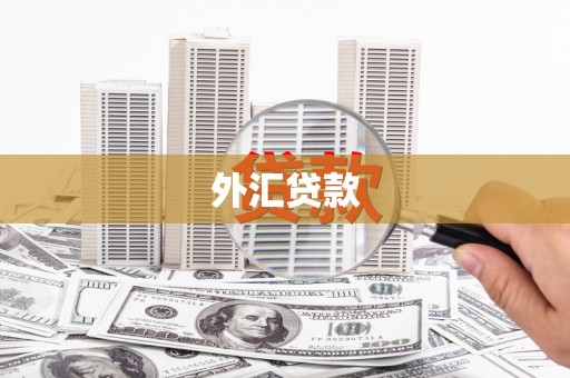 临澧外汇贷款