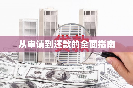临澧从申请到还款的全面指南