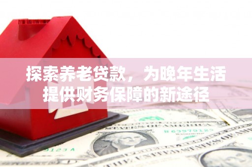 临澧探索养老贷款，为晚年生活提供财务保障的新途径