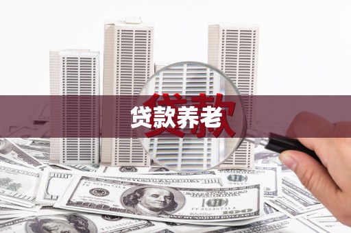 临澧贷款养老