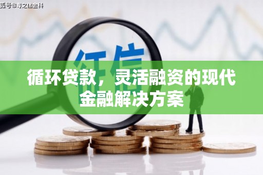 临澧循环贷款，灵活融资的现代金融解决方案