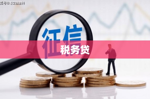 临澧税务贷