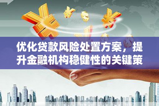 临澧优化贷款风险处置方案，提升金融机构稳健性的关键策略