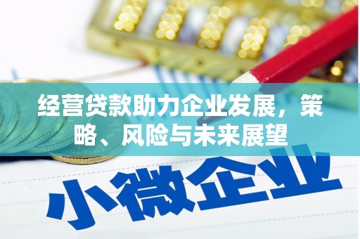临澧经营贷款助力企业发展，策略、风险与未来展望