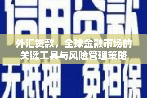 临澧外汇贷款，全球金融市场的关键工具与风险管理策略