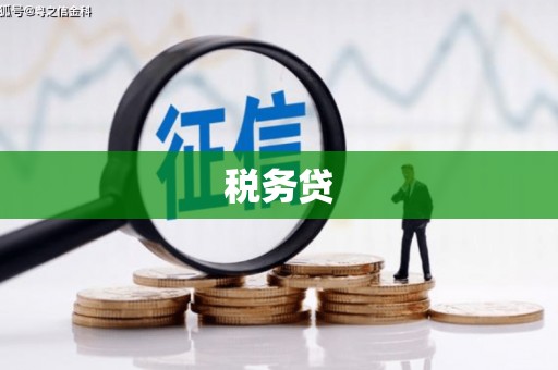 临澧税务贷