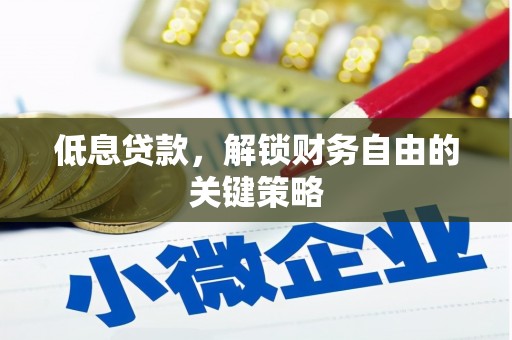 临澧低息贷款，解锁财务自由的关键策略