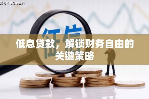 临澧低息贷款，解锁财务自由的关键策略