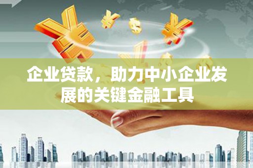 临澧企业贷款，助力中小企业发展的关键金融工具