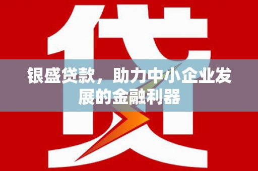 临澧银盛贷款，助力中小企业发展的金融利器