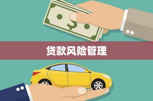 临澧贷款风险管理