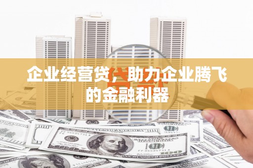 临澧企业经营贷，助力企业腾飞的金融利器