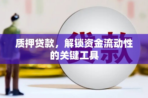 临澧质押贷款，解锁资金流动性的关键工具