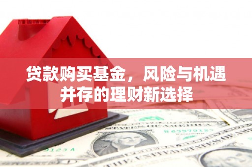 临澧贷款购买基金，风险与机遇并存的理财新选择