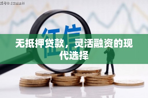 临澧无抵押贷款，灵活融资的现代选择