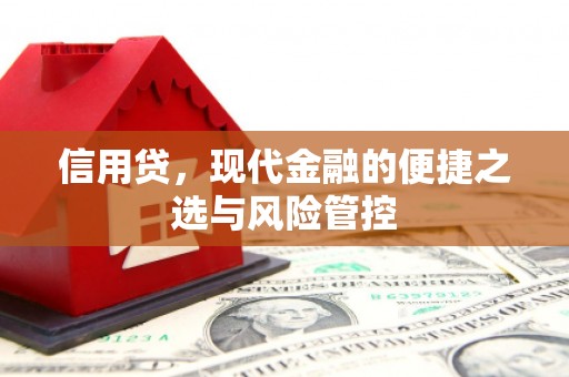 临澧信用贷，现代金融的便捷之选与风险管控