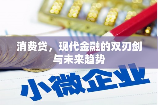 临澧消费贷，现代金融的双刃剑与未来趋势