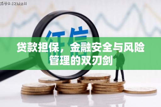 临澧贷款担保，金融安全与风险管理的双刃剑