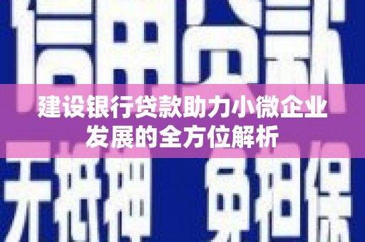 临澧建设银行贷款助力小微企业发展的全方位解析