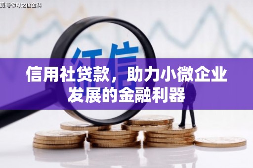 临澧信用社贷款，助力小微企业发展的金融利器