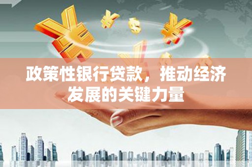 临澧政策性银行贷款，推动经济发展的关键力量