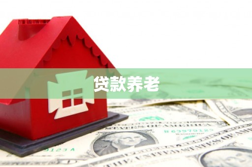 临澧贷款养老