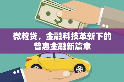 临澧微粒贷，金融科技革新下的普惠金融新篇章