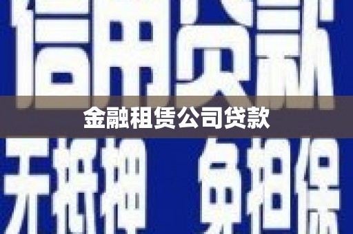 临澧金融租赁公司贷款