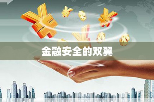临澧金融安全的双翼