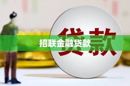临澧招联金融贷款