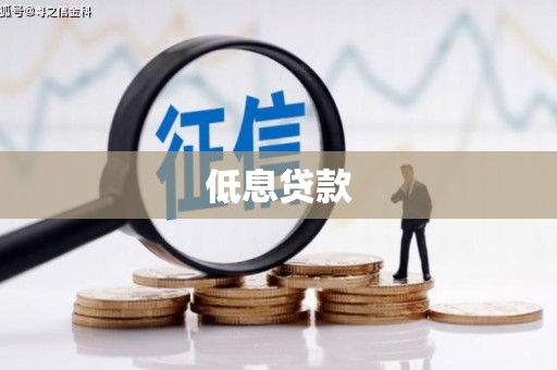 临澧低息贷款