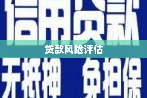 临澧贷款风险评估