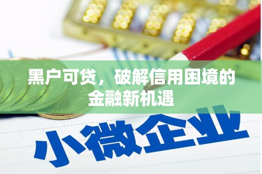 临澧黑户可贷，破解信用困境的金融新机遇