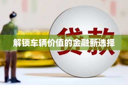 临澧解锁车辆价值的金融新选择