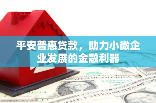 临澧平安普惠贷款，助力小微企业发展的金融利器