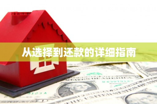 临澧从选择到还款的详细指南