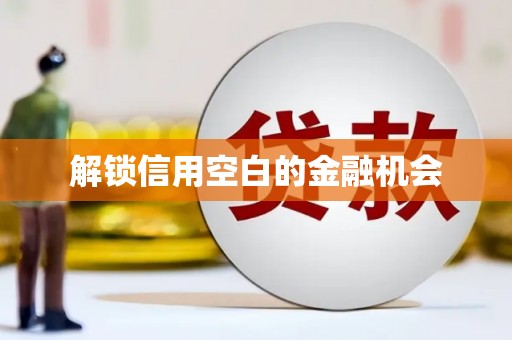 临澧解锁信用空白的金融机会